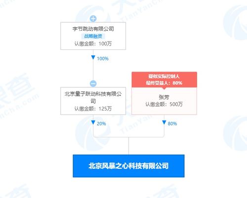字節跳動關聯公司布局基礎軟件服務領域，戰略投資彰顯科技生態新動向